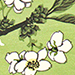 Kieko Tsurusawa Gallery